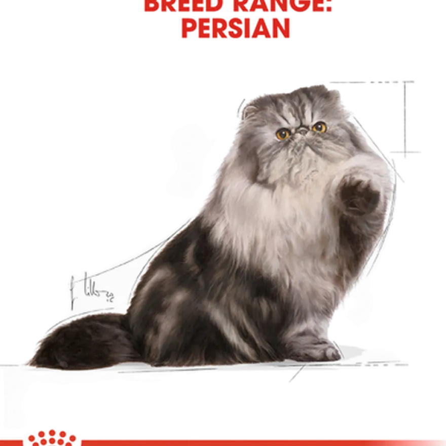 Feline Breed Wet Persian Loaf 85 g x 12 stk - porsjonsposer