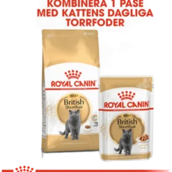 Feline britisk korthår 10 kg