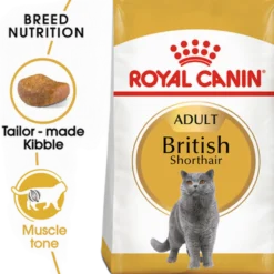 Feline britisk korthår 10 kg