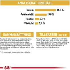 Feline britisk korthår 10 kg