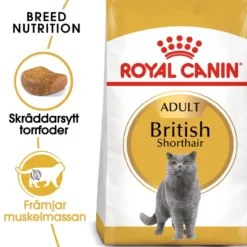 Feline britisk korthår 2 kg