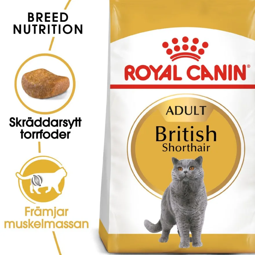 Feline britisk korthår 2 kg