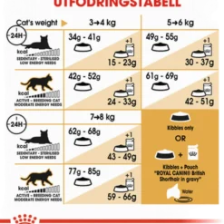 Feline britisk korthår 2 kg