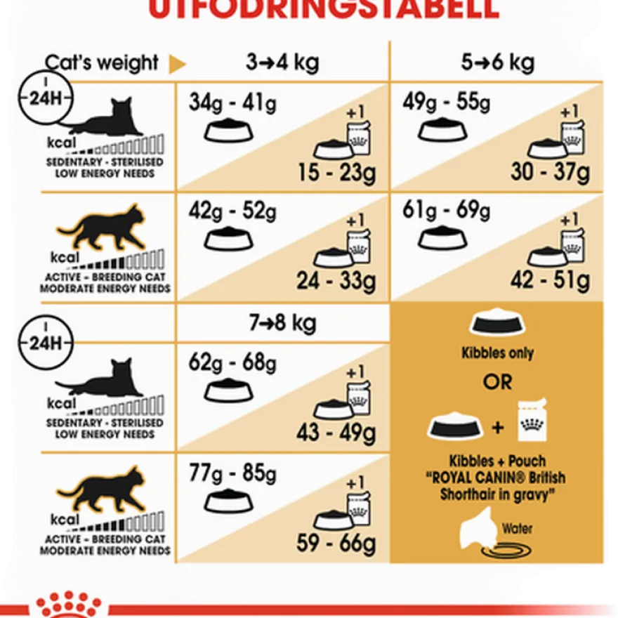 Feline britisk korthår 2 kg