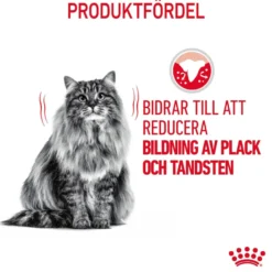 Feline Dental Care tørrfôr til katter 3,5 kg