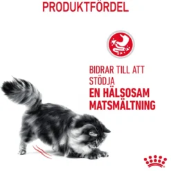 Feline Digestive Care tørrfôr til katter, 10 kg