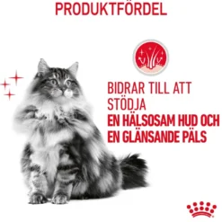 Feline Hair & Skin Care tørrfôr til katter 10 kg