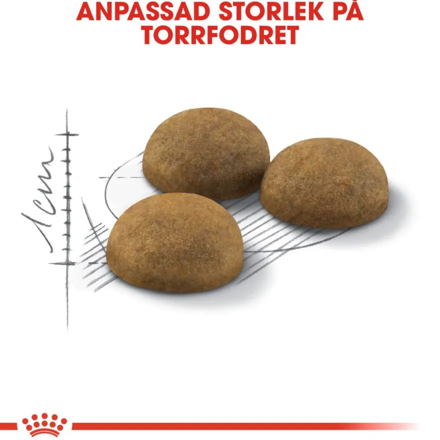 Feline Home Life Innendørs langhår 10 kg