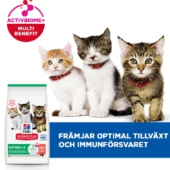 Feline Kitten Food Salmon 7kg