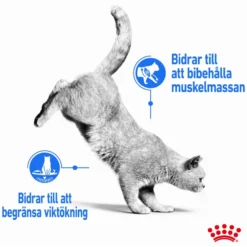 Feline Light Weight Care tørrfôr til katter 8 kg