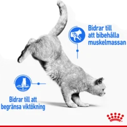 Feline Light Weight Care tørrfôr til katter 3 kg