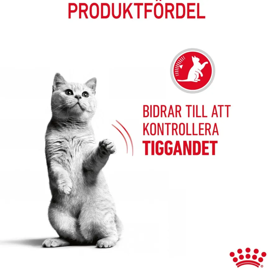 Feline Regular Appetite Control 10 kg