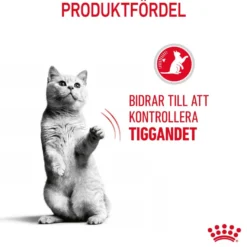Feline Regular Appetite Control 2 kg