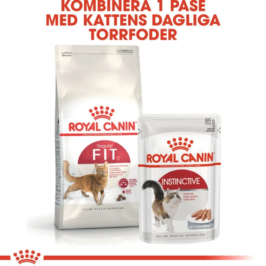 Feline Regular Fit 32 4 kg