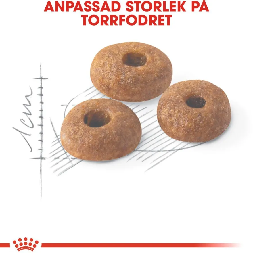 Feline Regular Fit 32 4 kg