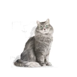 Feline Regular Sensitive 33 4 kg