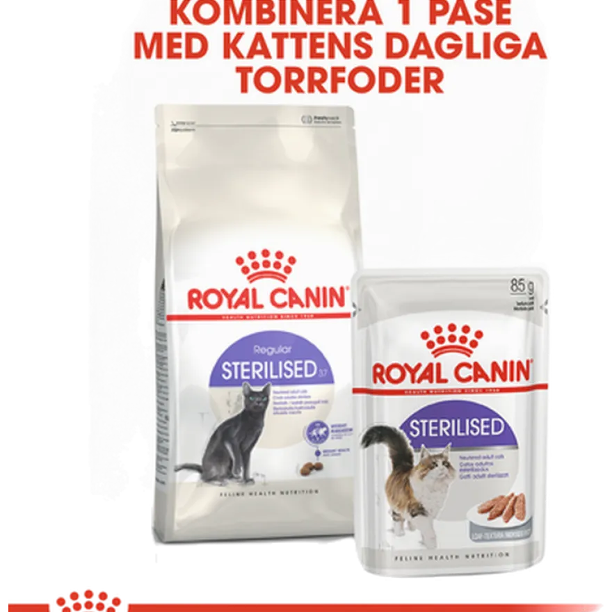 Feline Regular Sterilised 37 2 kg