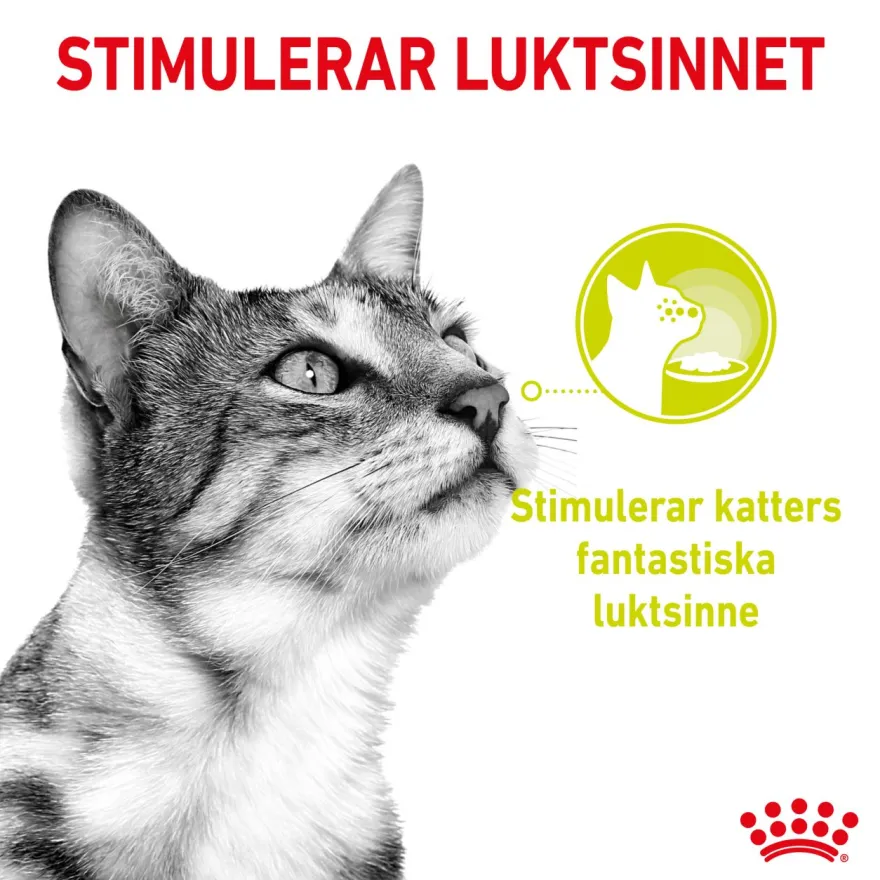 Feline Sensory Luktsaus 85 g x 12 stk - porsjonsposer