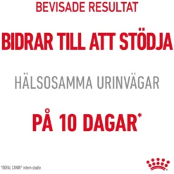 Feline Urinary Care tørrfôr til katter 2 kg