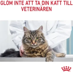 Feline Wet Lightweight Care Care Jelly 85 g x 12 stk - porsjonsposer