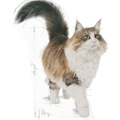 Feline Wet Sterilised Jelly 85 g x 12 stk - porsjonsposer
