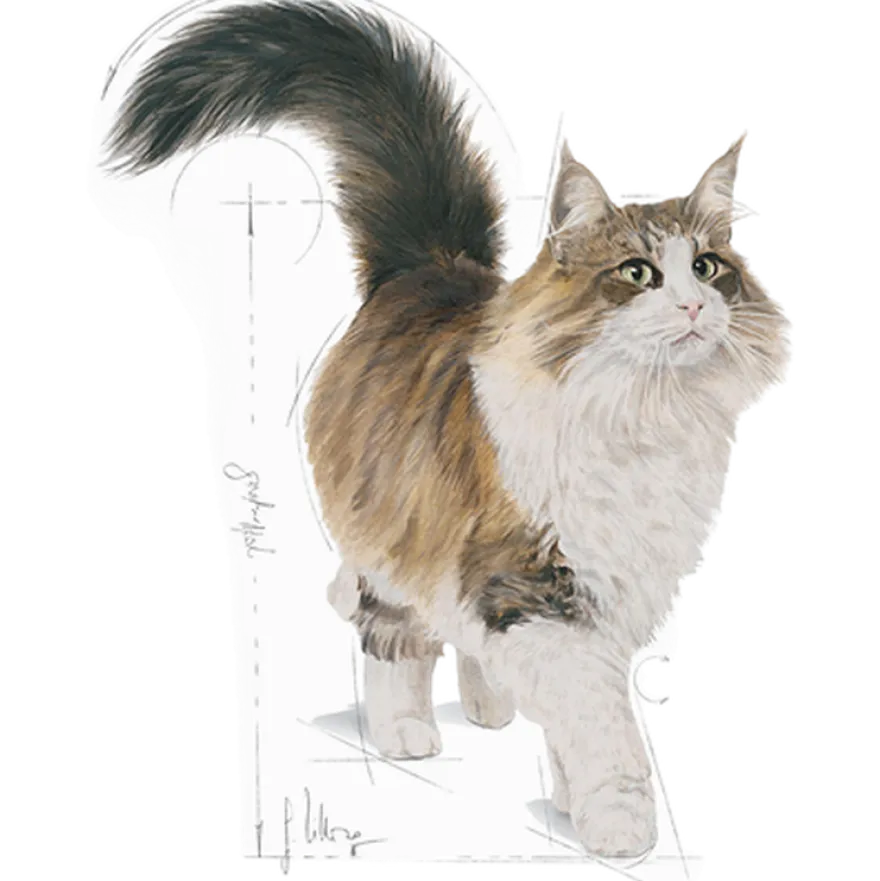 Feline Wet Sterilised Jelly 85 g x 12 stk - porsjonsposer