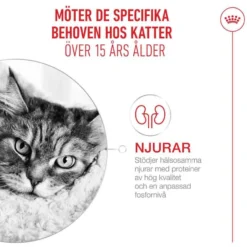 FHN Ageing 15+ Mousse, 12-pakning