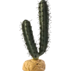 Fingerkaktus - Ørkenplanter på bakken Grønn 7 cm