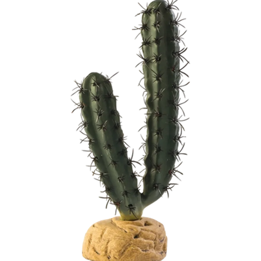 Fingerkaktus - Ørkenplanter på bakken Grønn 7 cm