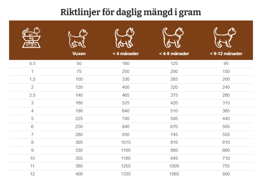 FIW-P Fordøyelsesstøtte 12x85g