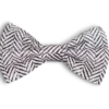 Fluga Modish