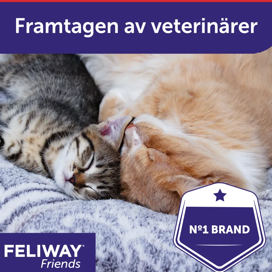 Friends Fragrance Dispenser Refill 48 ml x 3 stk. i økonomipakke