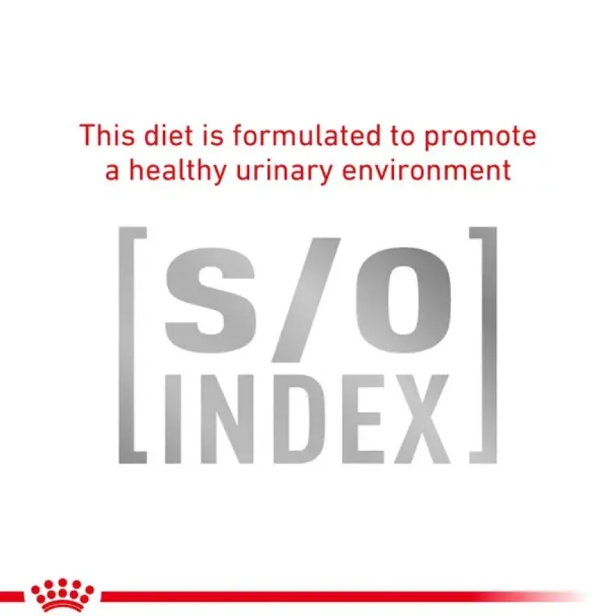FVD Cat Gastrointestinal Hairball 4kg