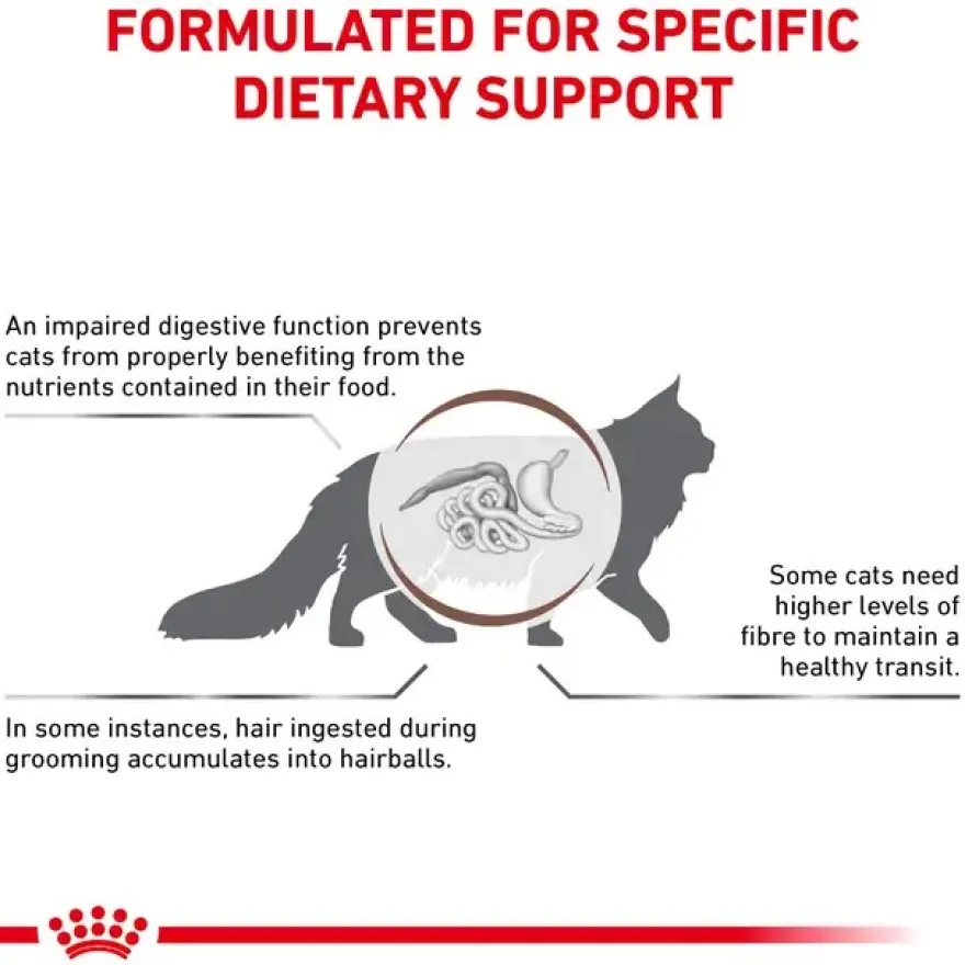 FVD Cat Gastrointestinal Hairball 4kg