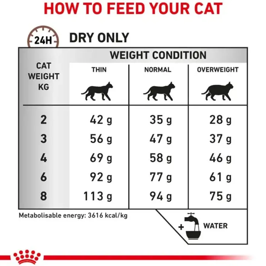 FVD Cat Gastrointestinal Hairball 4kg