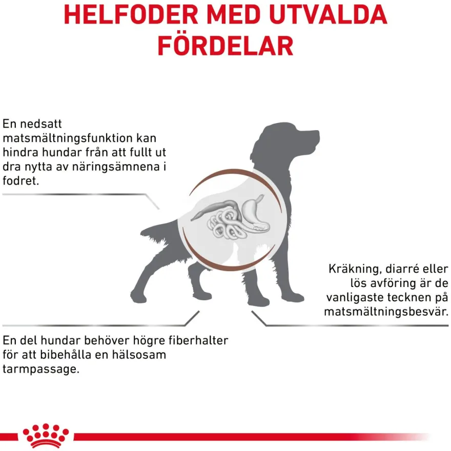 Gastrointestinal High Fibre Loaf våtfôr for hund 200 g