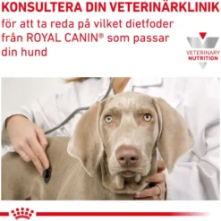 Gastrointestinal Loaf Våtfôr for hunder 400 g