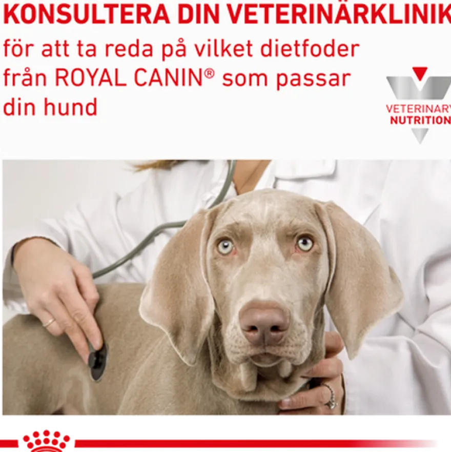 Gastrointestinal Low Fat Loaf våtfôr til hund 420 g x 12