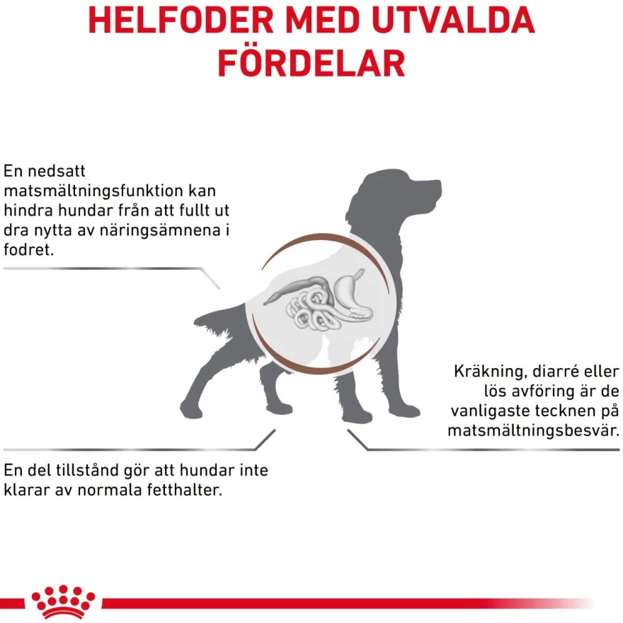 Gastrointestinal Low Fat Loaf våtfôr til hund 420 g x 12