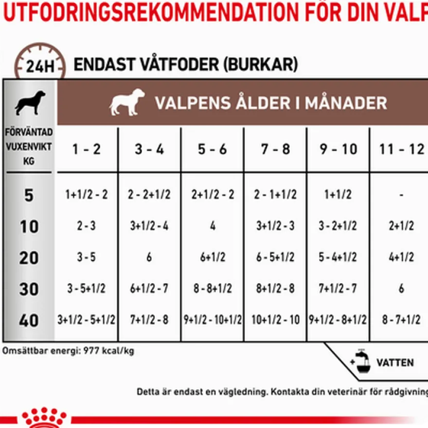 Gastrointestinal Puppy Mousse Våtfôr for hunder 195 g