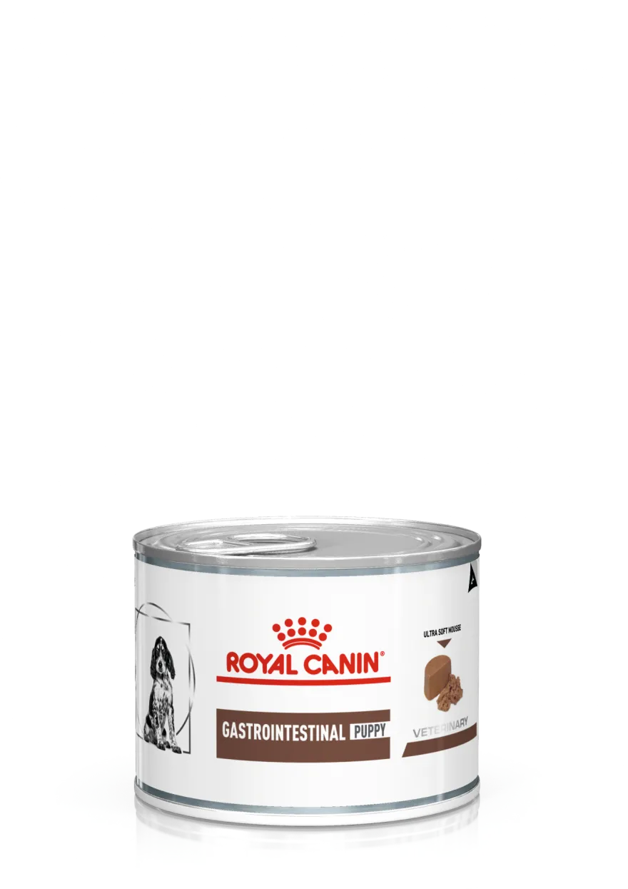 Gastrointestinal Puppy Mousse Våtfôr for hunder 195 g