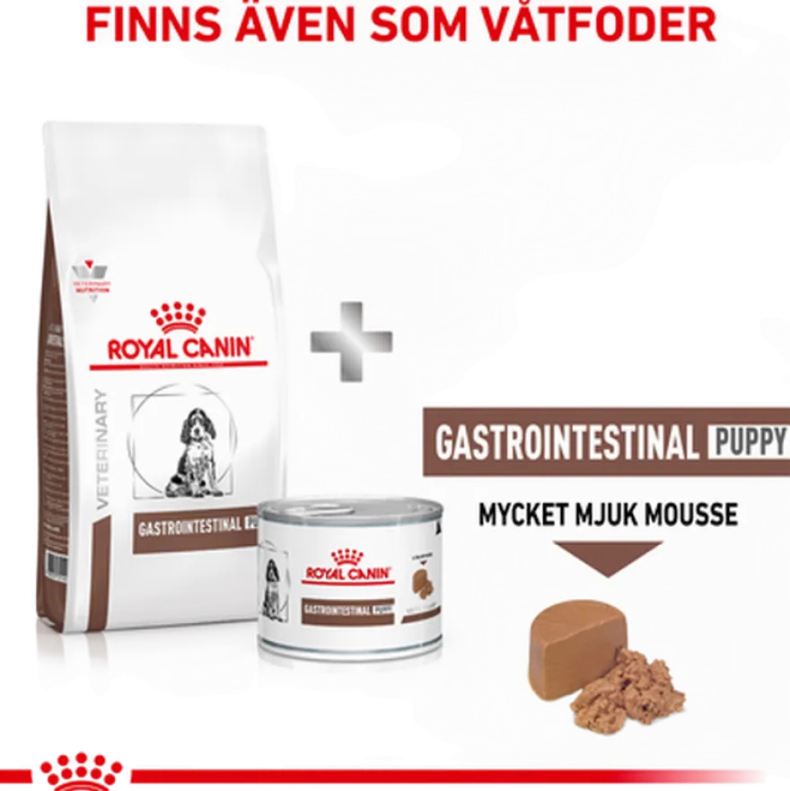 Gastrointestinal Puppy tørrfôr for hunder 10 kg