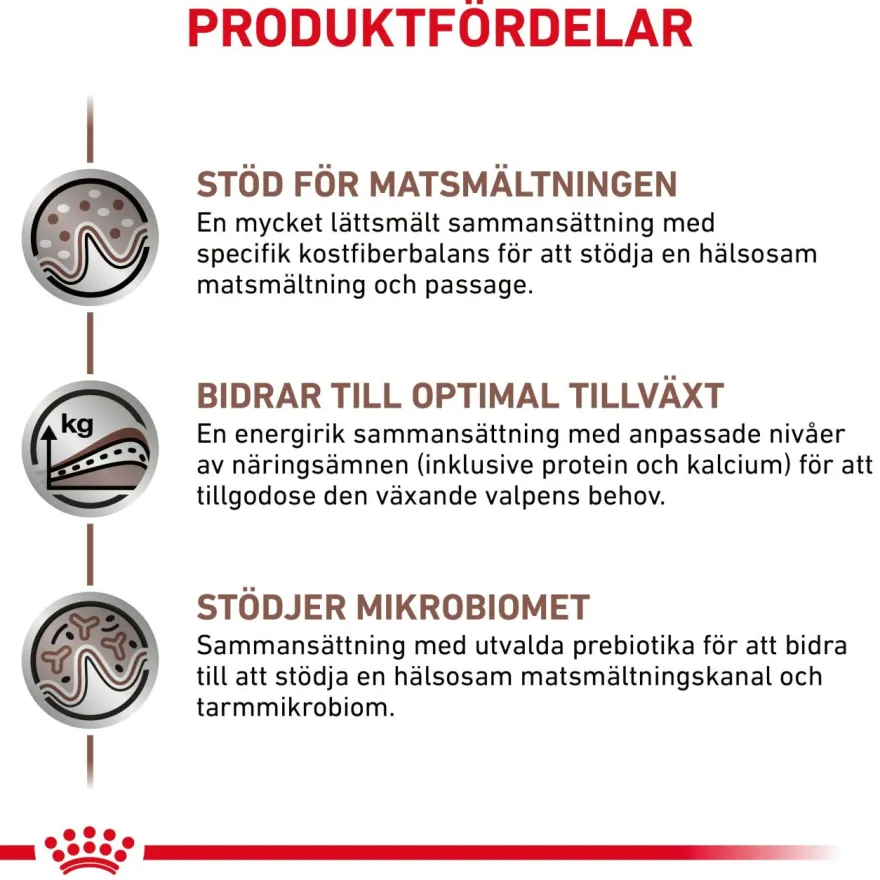 Gastrointestinal Puppy tørrfôr for hunder 10 kg