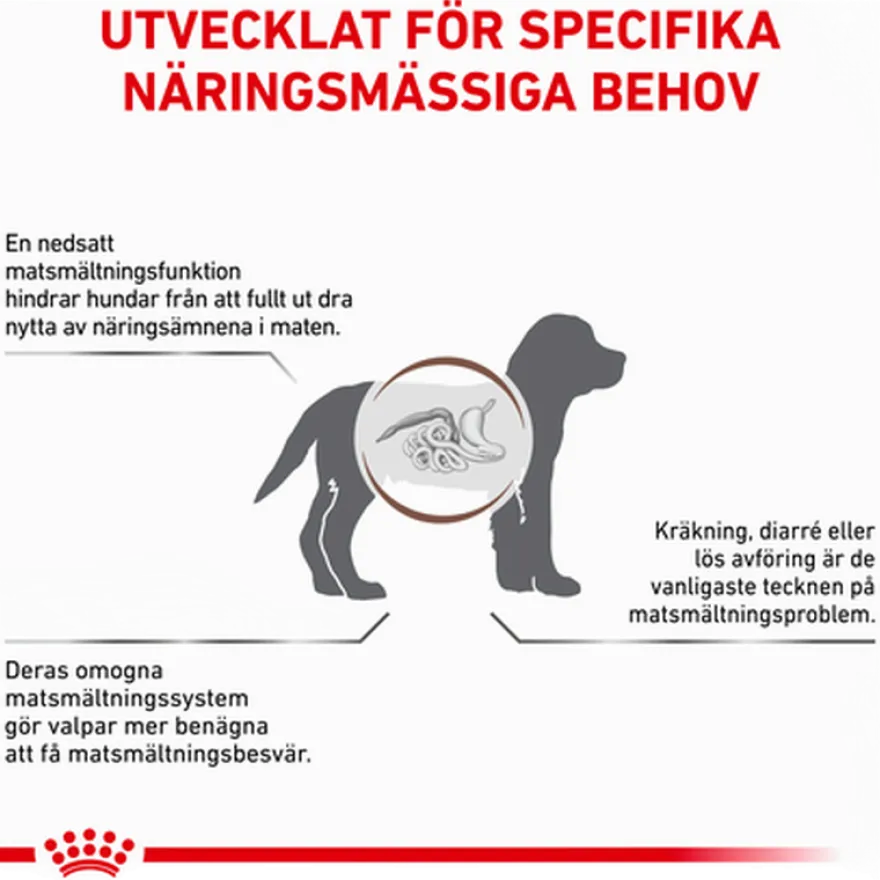Gastrointestinal Puppy tørrfôr for hunder 10 kg