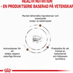 Gastrointestinal Puppy tørrfôr for hunder 10 kg