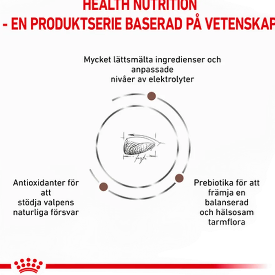 Gastrointestinal Puppy tørrfôr for hunder 10 kg