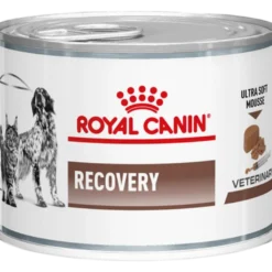 Gastrointestinal Recovery Ultra Soft Mousse Våtfôr for katter og hunder 195 g