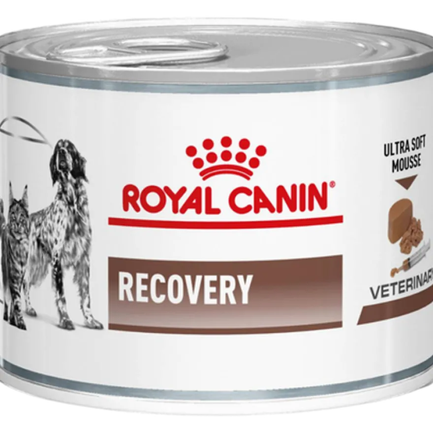 Gastrointestinal Recovery Ultra Soft Mousse Våtfôr for katter og hunder 195 g