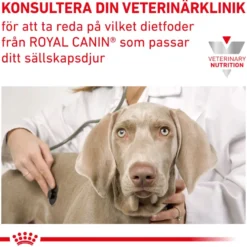 Gastrointestinal Recovery Ultra Soft Mousse Våtfôr for katter og hunder 195 g