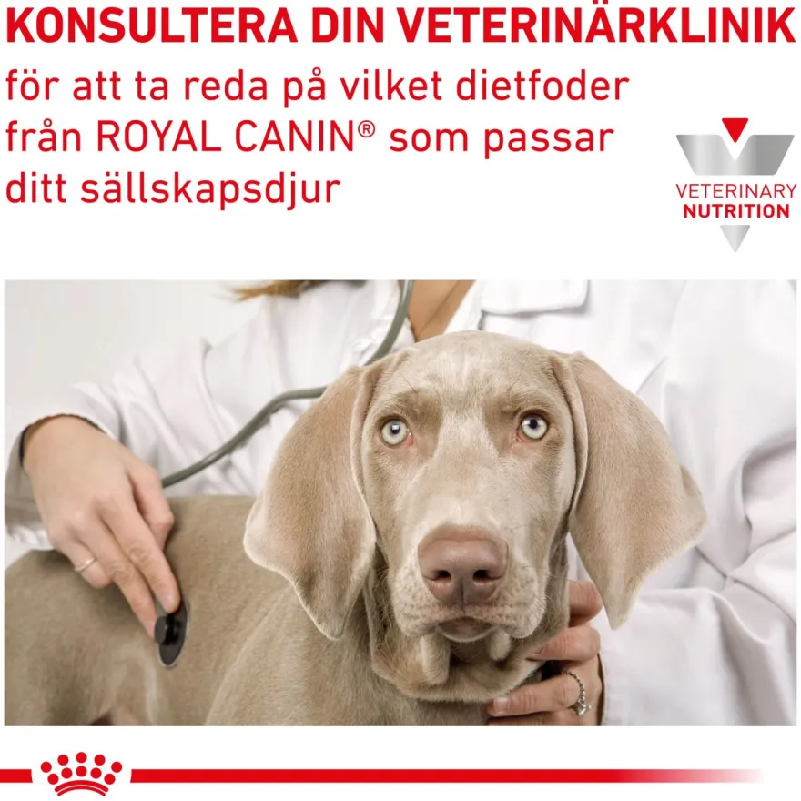 Gastrointestinal Recovery Ultra Soft Mousse Våtfôr for katter og hunder 195 g